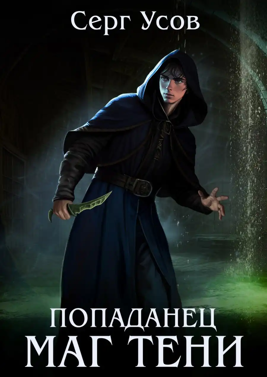 Попаданец. Маг Тени. Книга 10